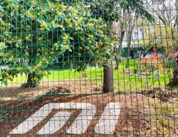 XIOAMI SALCOMP'TA baskılar devam ediyor: